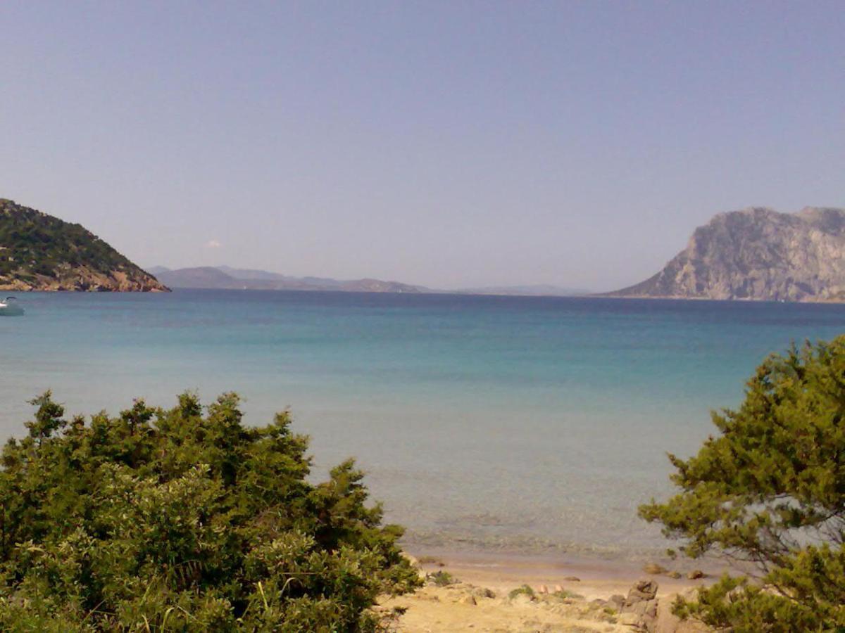 Casa Lea - Al Canneto Holiday home San Teodoro (Sardinia)