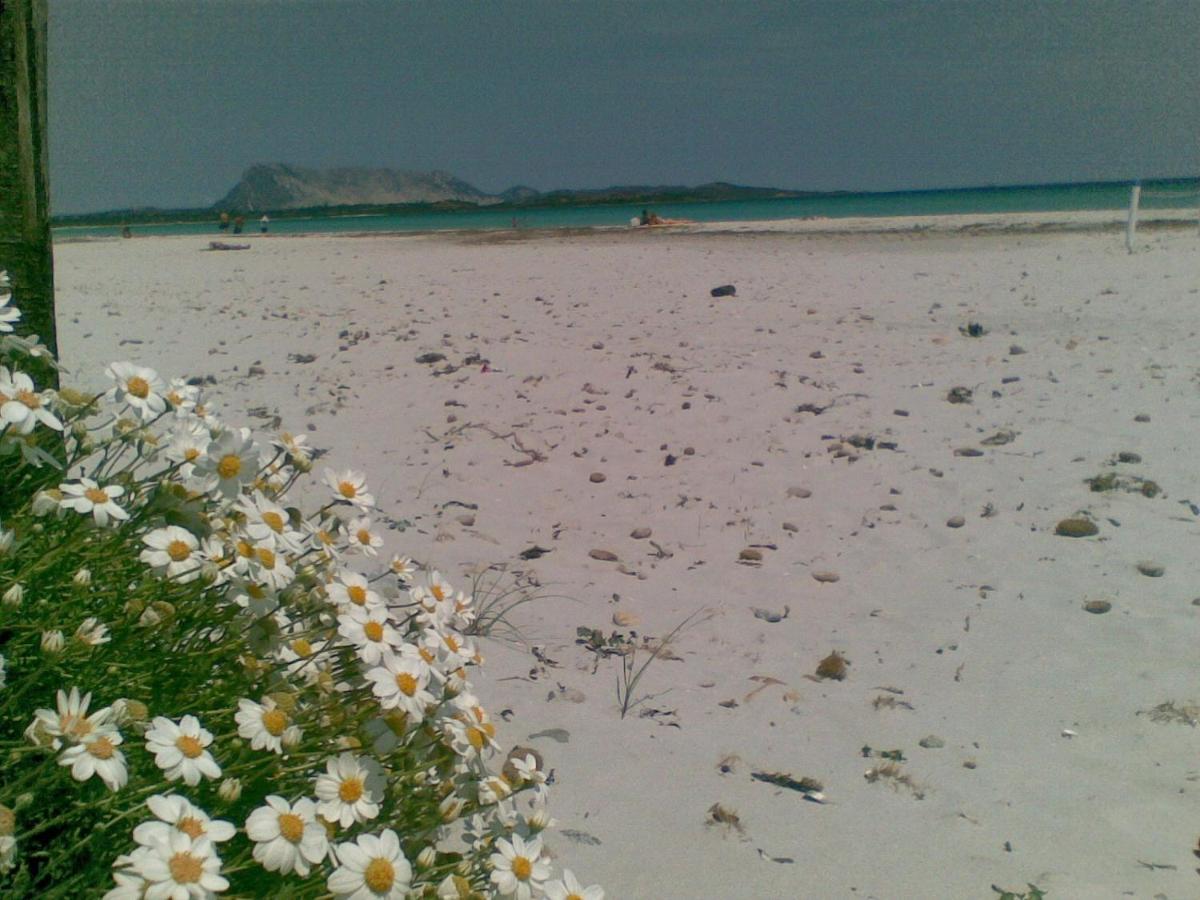 Casa Lea - Al Canneto * San Teodoro (Sardinia)