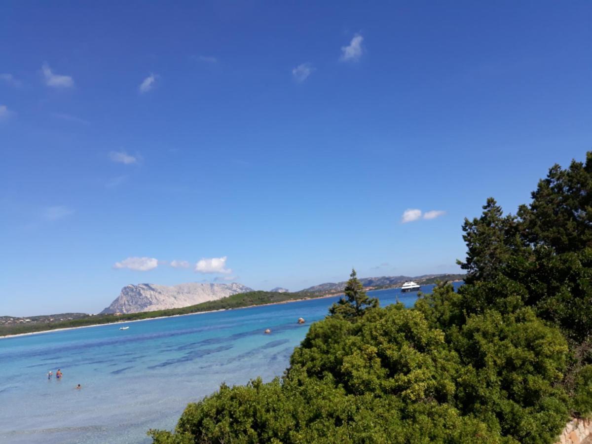Casa Lea - Al Canneto Holiday home San Teodoro (Sardinia)